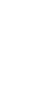 刺し