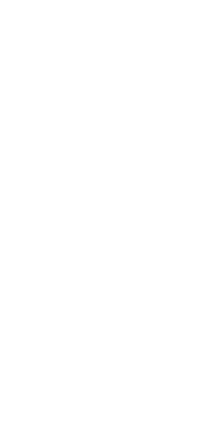 奥美濃地鶏