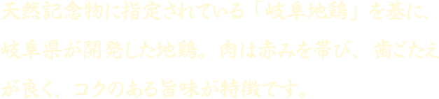 天然記念物に指定されている「岐阜智地鶏」を基に、岐阜県が開発した地鶏。肉は赤みを帯び、歯ごたえが良く、コクのある旨味が特徴です。