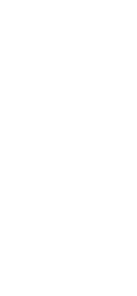 飛騨牛希少部位