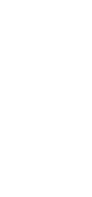 赤身